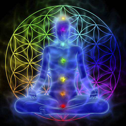 Free Energize Your Chakras Meditation Download